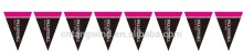 Promotion Decorative PE Triangle Flag Bunting (TW-F022)