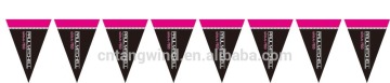 Promotion Decorative PE Triangle Flag Bunting (TW-F022)