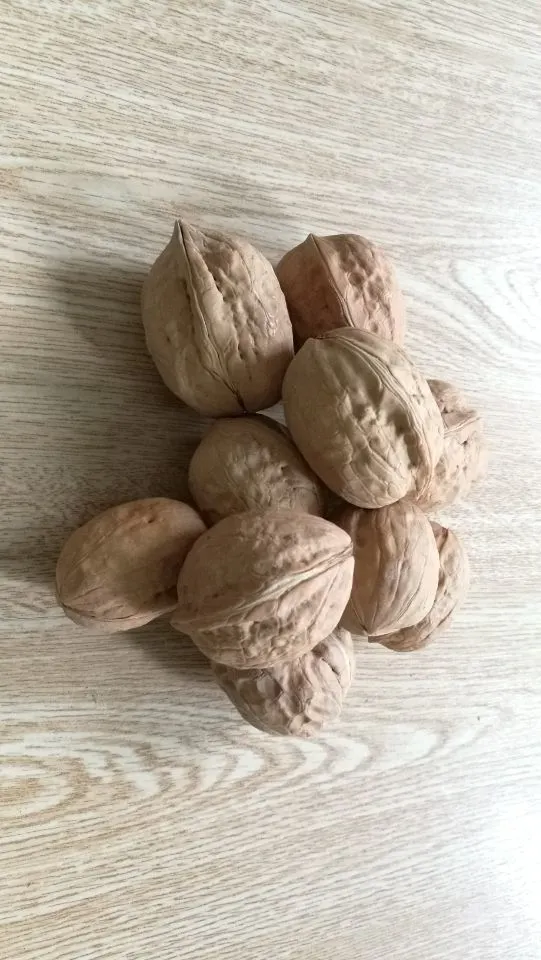 New Crop Lh Walnut Kernels for Exporting