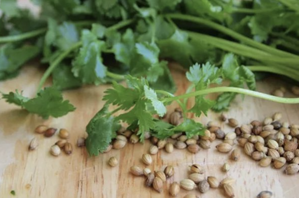Поставщик порошка экстракта кориандра Coriander Extract Powder Supplier