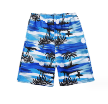 Men's Quick-Drying Printed Swimsuits and Beach Shorts