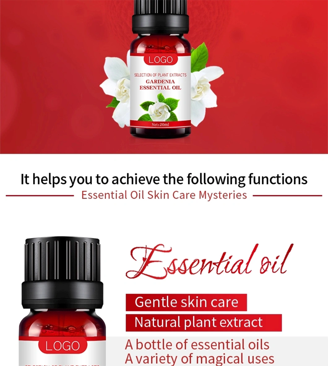 Manufacturing Natural Essential Oil Gardenia Essential Oil