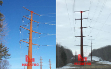 345KV Double circuit single pole