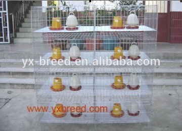 chicken incubator