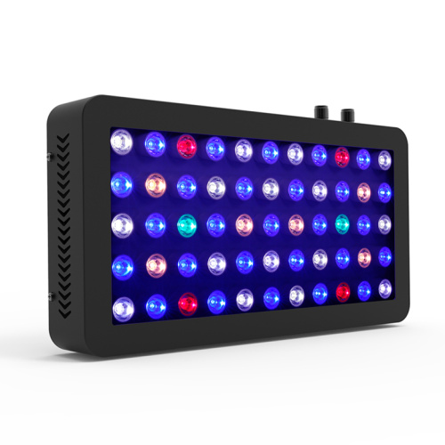 Lampka akwarium LED Fish Marmeland można dostosować