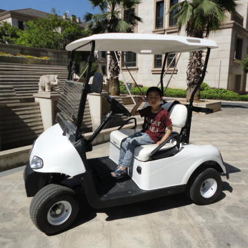 150AH battery latest EZGO model electric golf cart