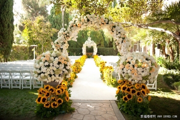 Foldable wedding resin chair