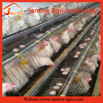 Hot galvanized folding chicken egg layer cages poultry farm cage design for Sudan farm