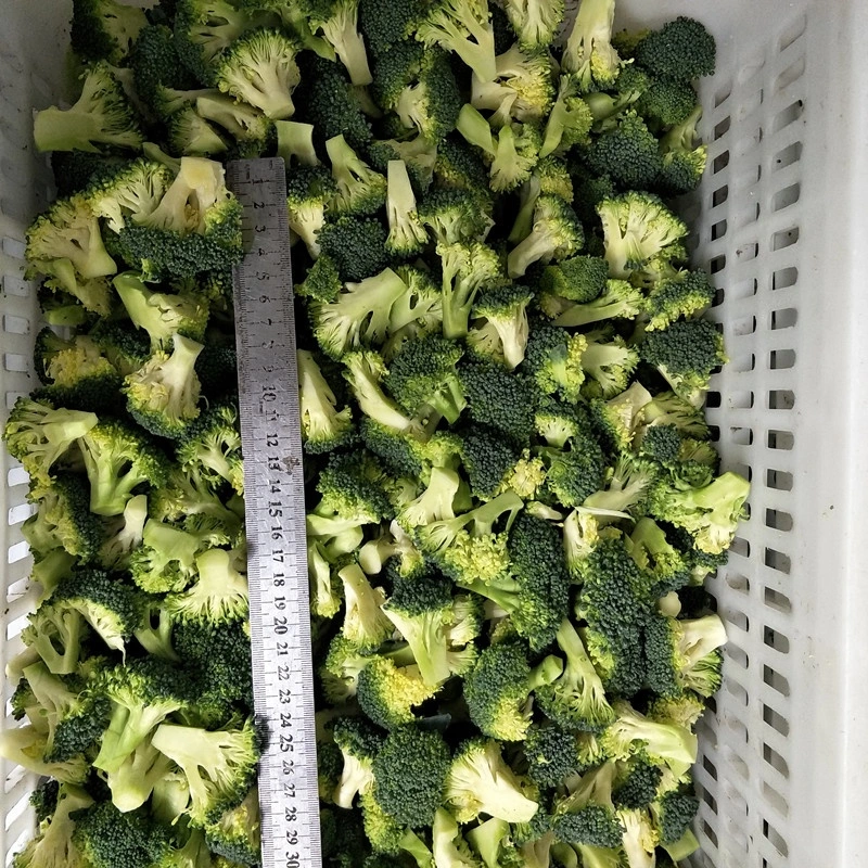 Frozen IQF Healthy Cauliflower Frozen Vegetables