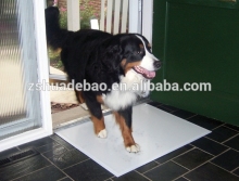 new product dog carpet