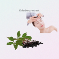 Schwarzer Oderberry Extract /Elderberry Fruit Extraktpulver