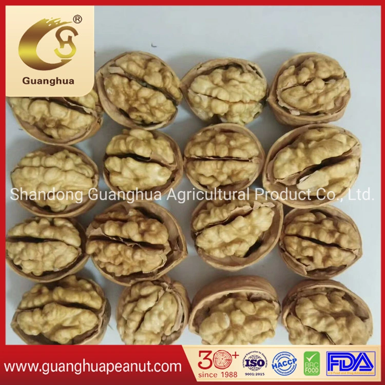 Best Quality Walnut Kernels From China