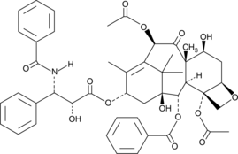 33069-62-4 33069-62-4