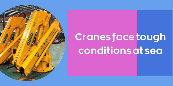 Cranes face tough conditions at sea