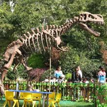 Life Size Dinosaur Skeleton Replicas for Sale