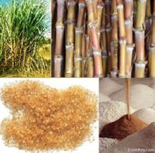 CANE ICUMSA SUGER 45