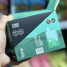 Disposable Bang BC5000 Disposable Vape Pen