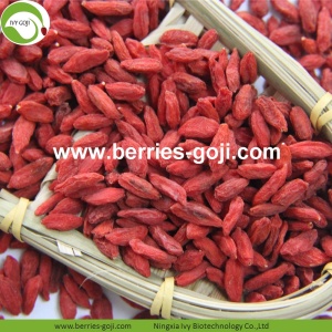 Pasokan Pabrik Sehat Alami Dijual Goji