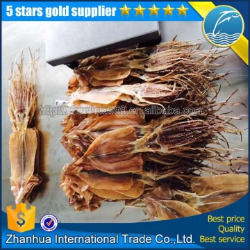 dried illex squid loligo squid and export dried squid