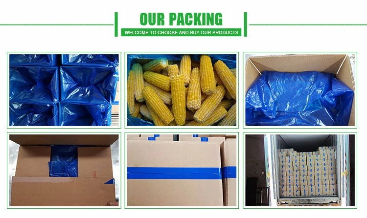 Nop EU Organic Frozen Sweet Corn Cut Super Sweet From China