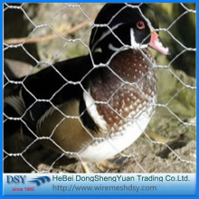 small hole lowest price chicken wire mesh