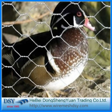 small hole lowest price chicken wire mesh