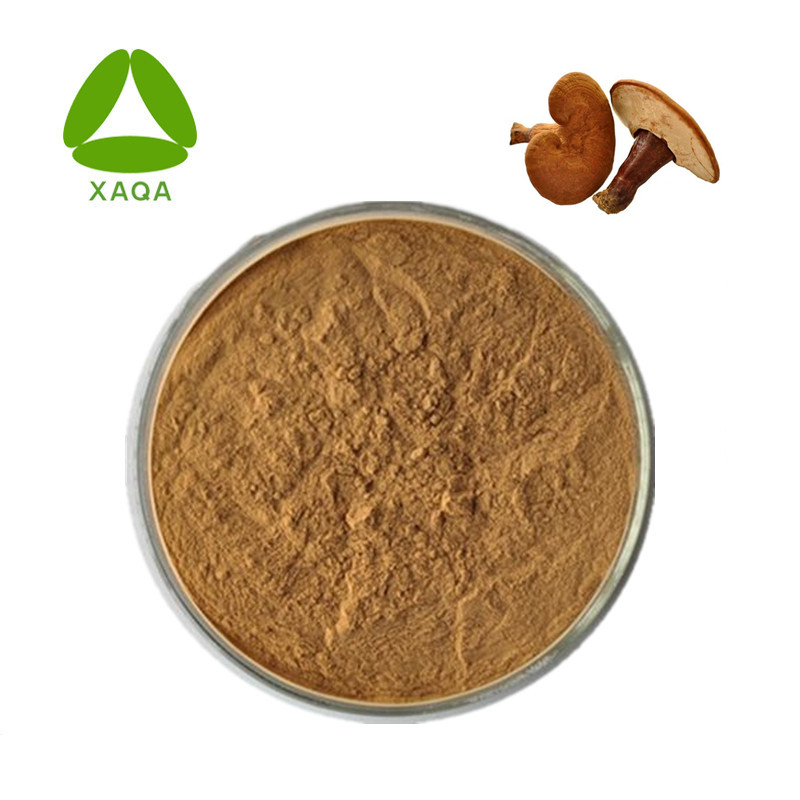 Порошок полисахарида Ganoderma Lucidum Extract, 10: 1