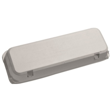Eco-Friendly Blank Egg Carton for 12 Eggs