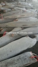 Frozen Fresh Marlin Fish/Swordfish HGT To Sri Lanka