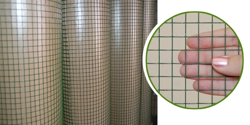 Galvanized PVC Coated Welded Wire Mesh