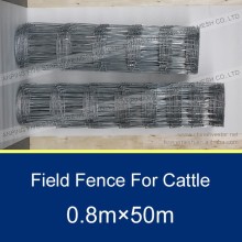 Safety Livestock Prevent Animal animal fence