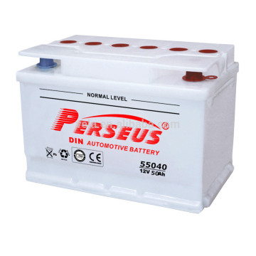 12V Normal Voltage dry charged car battery