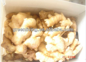 china ginger exporter