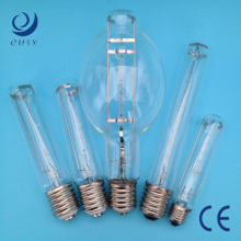 150W-1000W Crystal Jtt Halogen Lamp with CE (JTT100W-1000W E40)