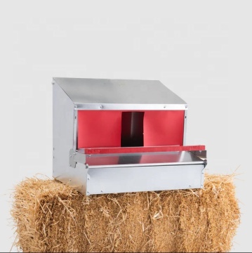 Automatic Chicken Egg Laying Nest Box Collection System