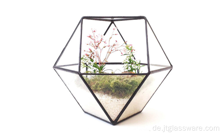 Rundes, klares, geometrisches, quadratisches Hängeterrarium aus Glas