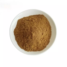 Acanthopanax senticosus extract wholesale