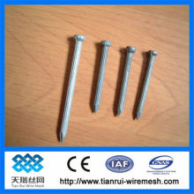 nails professional products