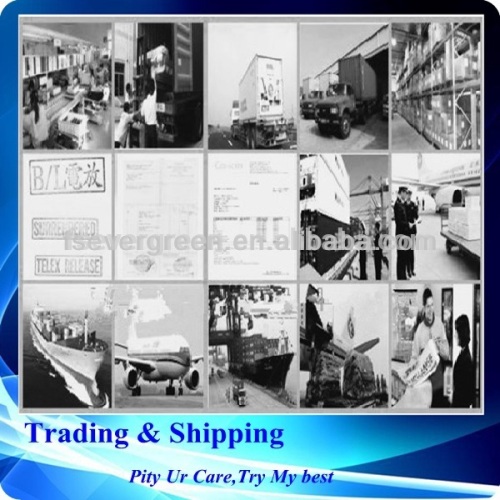 Ocean freight with purchase,warehouse service from China to Los Angeles