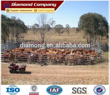 Australia cattle panels/cattle yards/cattle yard panels