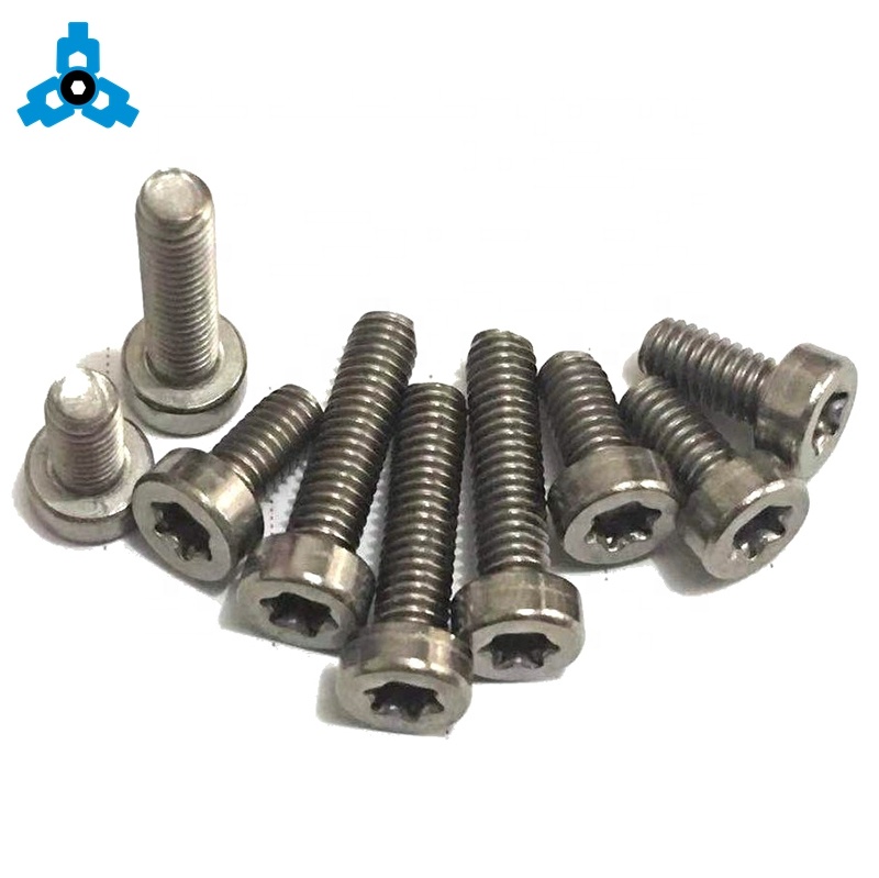 Stainless Steel 304 316 Torx Socket Cap Head Machine Screws