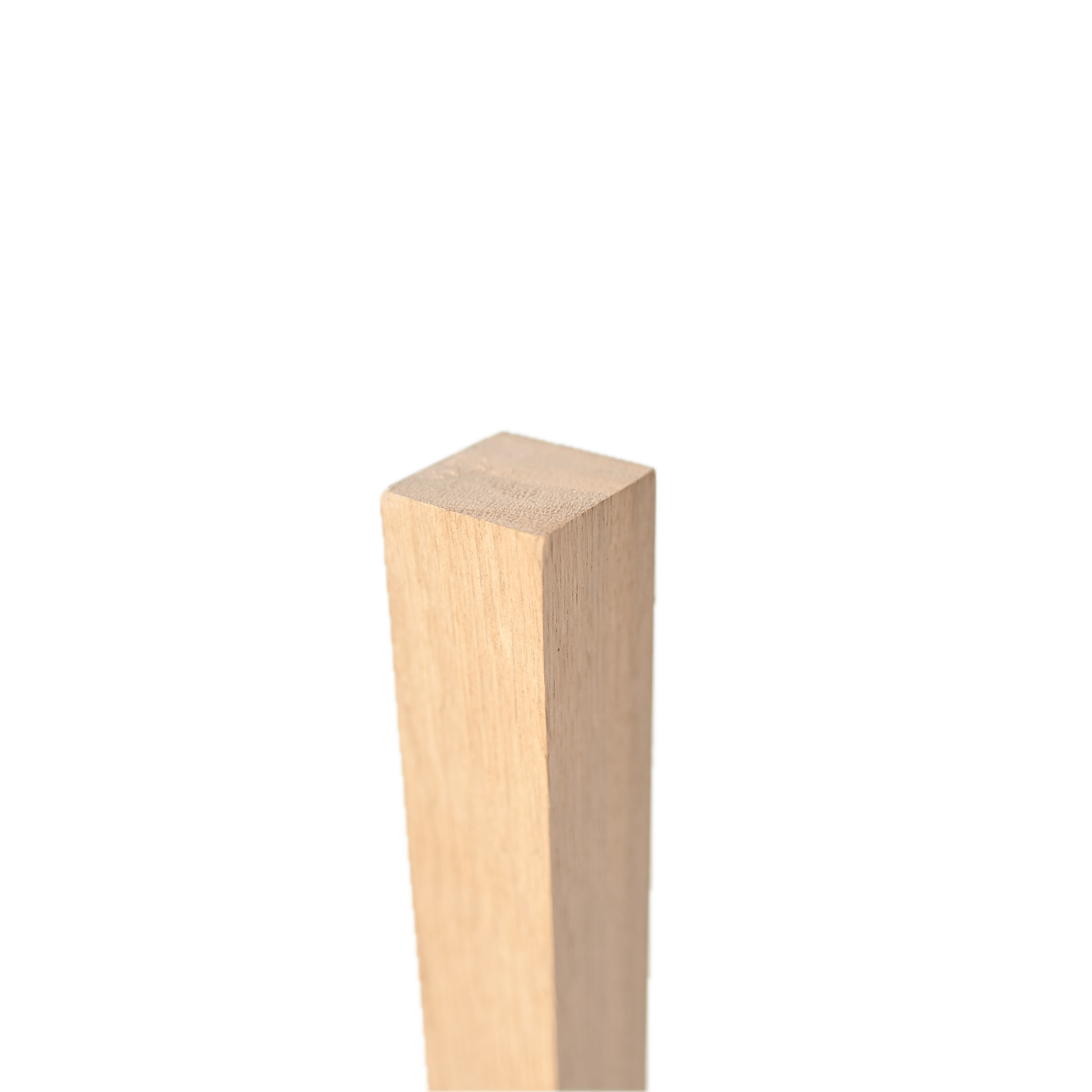 Z63_8839 Z63_8839