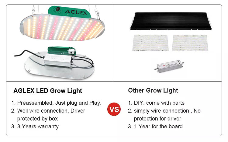 Kingbright Grow Light Kingbright Grow Light