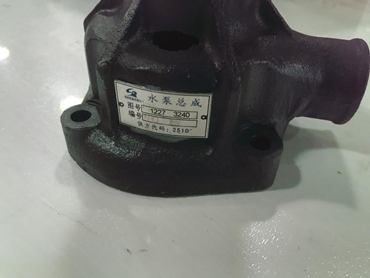 12273240 Pompe à eau Weichai Detuz TBD226