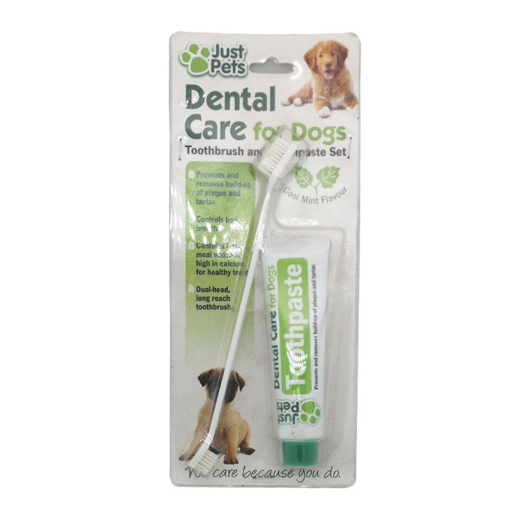 Cool Mint Flavour Dental Care for Dogs Toothbrush and Toothpaste Set