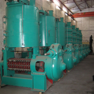 Máquina de prensa de petróleo do núcleo de semente de algodão