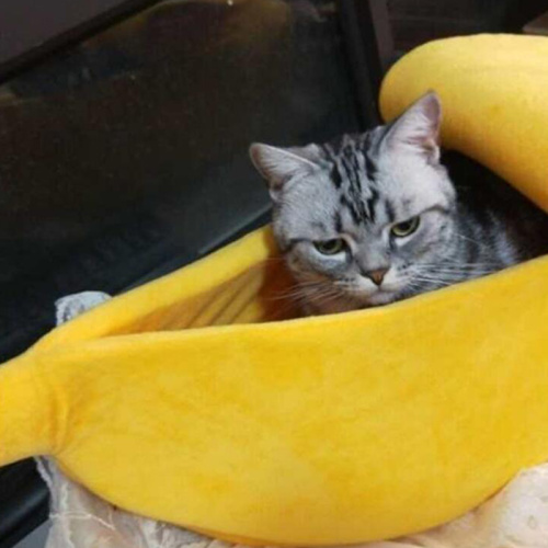 Kreatif kotoran kucing anjing bentuk pisang musim dingin hangat