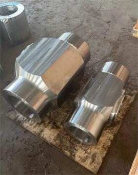 F91 Forging Valve Body