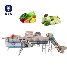 Industrial Vegetable Washer: KLS Fruit and Vegetable Washer Machine