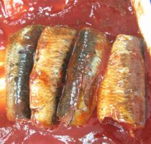Canned Pilchard Sardine Fish